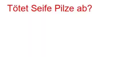 Tötet Seife Pilze ab?