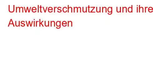 Umweltverschmutzung und ihre Auswirkungen