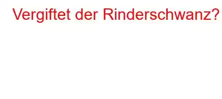 Vergiftet der Rinderschwanz?