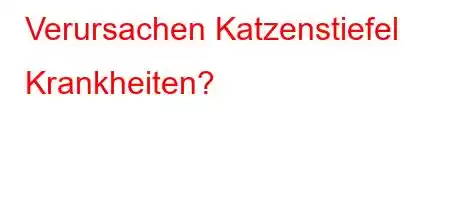 Verursachen Katzenstiefel Krankheiten?