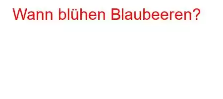 Wann blühen Blaubeeren