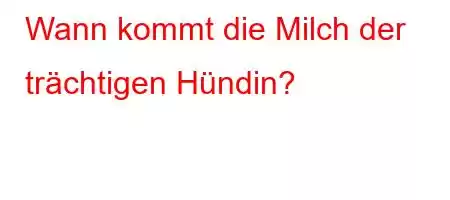 Wann kommt die Milch der trächtigen Hündin