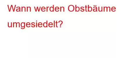 Wann werden Obstbäume umgesiedelt?