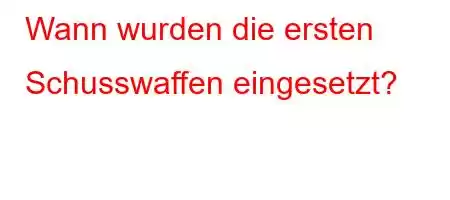 Wann wurden die ersten Schusswaffen eingesetzt?