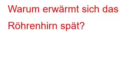 Warum erwärmt sich das Röhrenhirn spät