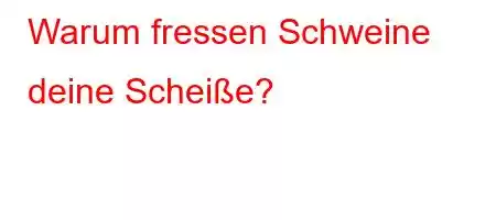 Warum fressen Schweine deine Scheiße?