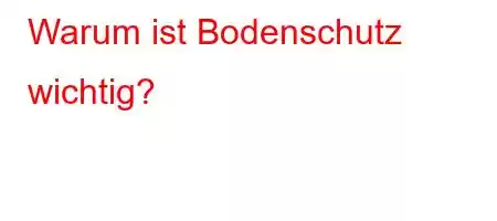 Warum ist Bodenschutz wichtig