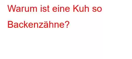 Warum ist eine Kuh so Backenzähne?