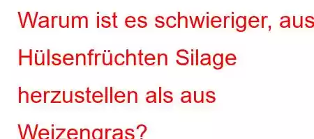 Warum ist es schwieriger, aus Hülsenfrüchten Silage herzustellen als aus Weizengras?