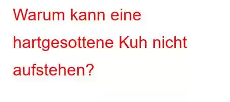 Warum kann eine hartgesottene Kuh nicht aufstehen?