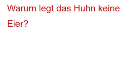 Warum legt das Huhn keine Eier?