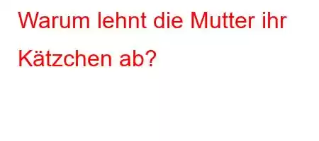 Warum lehnt die Mutter ihr Kätzchen ab?