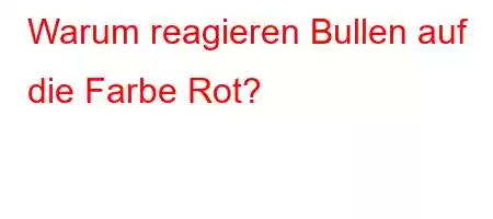 Warum reagieren Bullen auf die Farbe Rot?