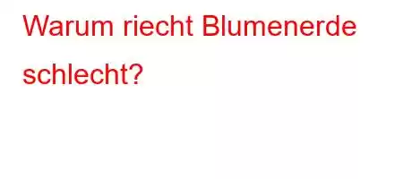 Warum riecht Blumenerde schlecht