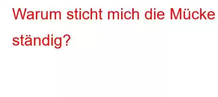 Warum sticht mich die Mücke ständig?