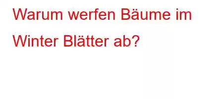 Warum werfen Bäume im Winter Blätter ab