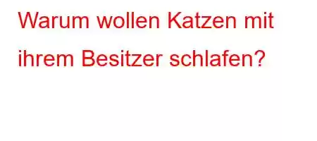 Warum wollen Katzen mit ihrem Besitzer schlafen