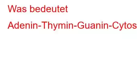 Was bedeutet Adenin-Thymin-Guanin-Cytosin