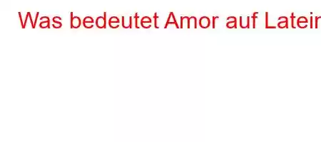 Was bedeutet Amor auf Latein?