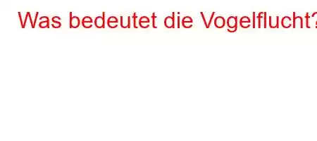 Was bedeutet die Vogelflucht?