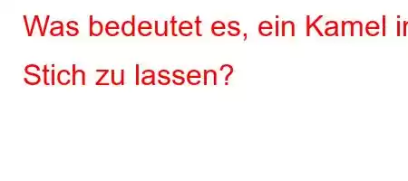 Was bedeutet es, ein Kamel im Stich zu lassen?