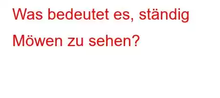 Was bedeutet es, ständig Möwen zu sehen