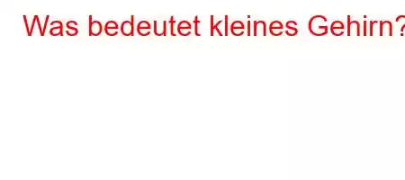 Was bedeutet kleines Gehirn?