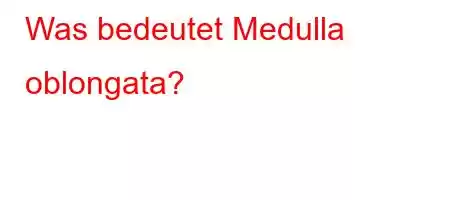 Was bedeutet Medulla oblongata?