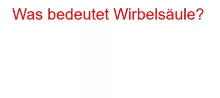 Was bedeutet Wirbelsäule?