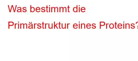 Was bestimmt die Primärstruktur eines Proteins