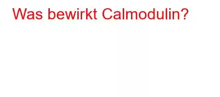 Was bewirkt Calmodulin?