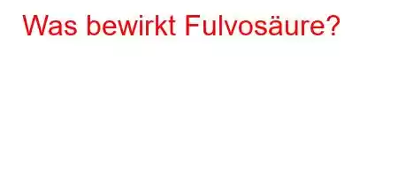 Was bewirkt Fulvosäure