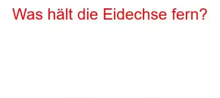 Was hält die Eidechse fern?