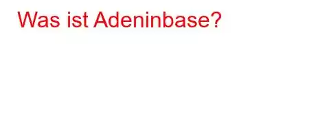 Was ist Adeninbase?