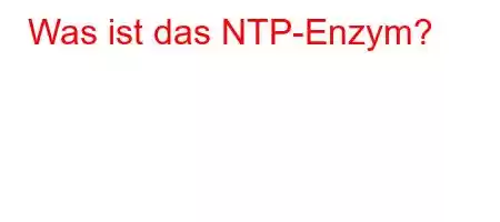 Was ist das NTP-Enzym?