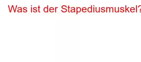 Was ist der Stapediusmuskel?