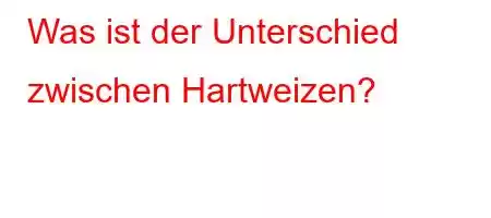 Was ist der Unterschied zwischen Hartweizen?