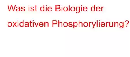 Was ist die Biologie der oxidativen Phosphorylierung?