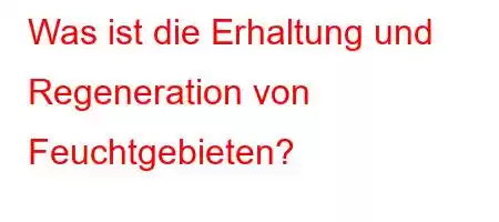 Was ist die Erhaltung und Regeneration von Feuchtgebieten?