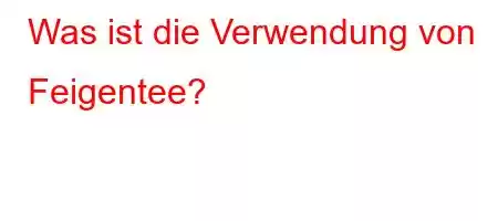 Was ist die Verwendung von Feigentee?