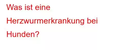 Was ist eine Herzwurmerkrankung bei Hunden?