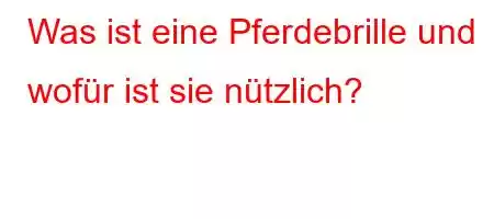 Was ist eine Pferdebrille und wofür ist sie nützlich?