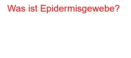 Was ist Epidermisgewebe