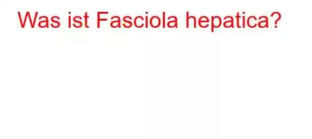 Was ist Fasciola hepatica?