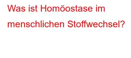 Was ist Homöostase im menschlichen Stoffwechsel?