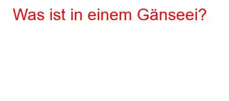 Was ist in einem Gänseei?