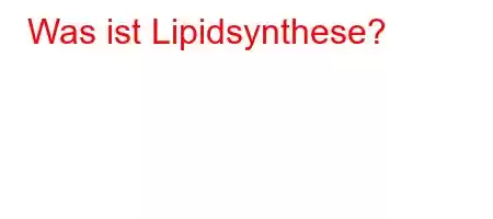 Was ist Lipidsynthese?