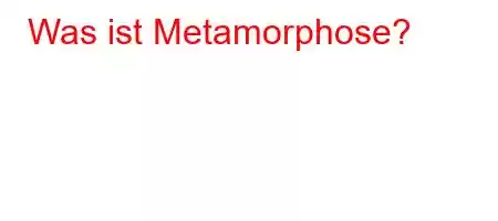 Was ist Metamorphose