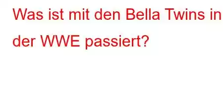 Was ist mit den Bella Twins in der WWE passiert