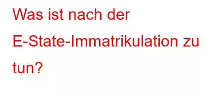 Was ist nach der E-State-Immatrikulation zu tun